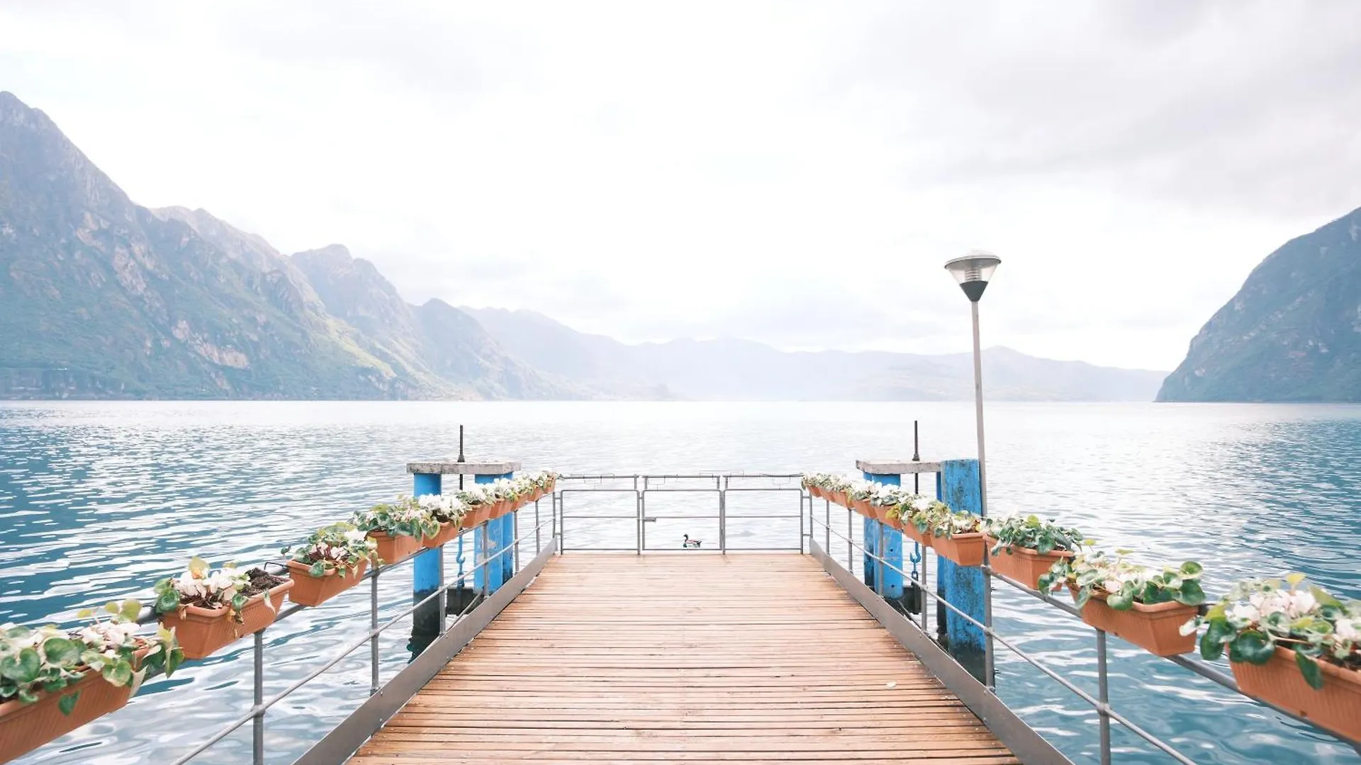 Costa Blu - Pool And Terrace Overlooking The Lake Riva di Solto Italia